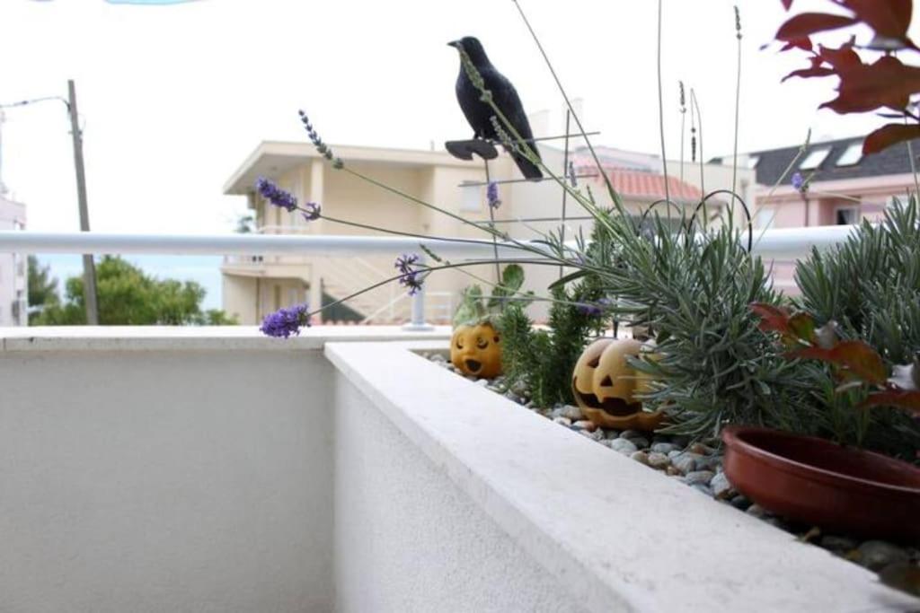 Maia'S Beach Studio Znjan Split Bagian luar foto
